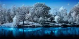 - paisagem,(g) jigsaw puzzle