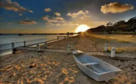 NÂº 445 jigsaw puzzle