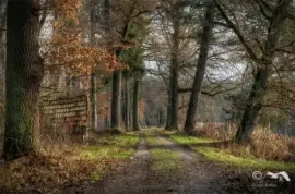 NÂº 161 jigsaw puzzle