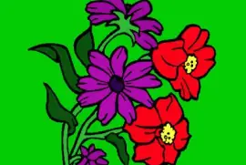 Flores jigsaw puzzle