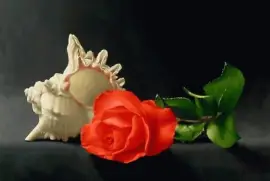 פאזל של Pintura