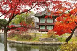 Pagode Gyeong Bokgung Palace South Korea