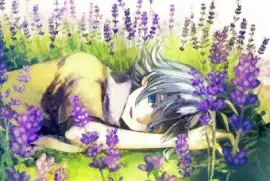 Shawn Su Un Prato Di Lavanda