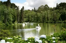 Lago Negro, Gramado