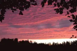 Cool coloured sunrise