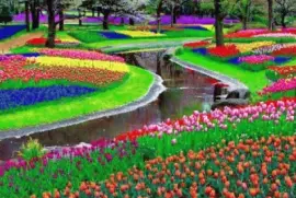 פאזל של jardin