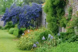 פאזל של Jardim