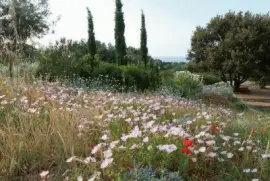 פאזל של Jardim