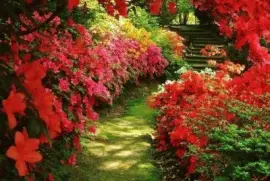 פאזל של Flores