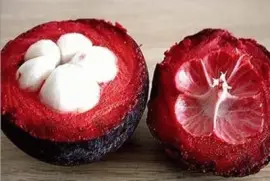 פאזל של Mangostino - Garcinia mangostana