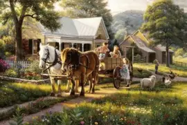 campo jigsaw puzzle