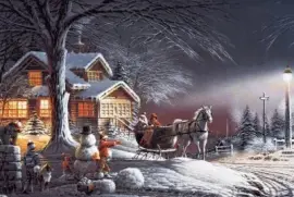 פאזל של NÂº 495