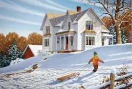 NÂº 501 jigsaw puzzle