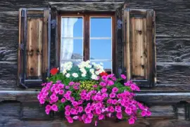 Ventana con flores 2
