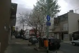 White and green trees