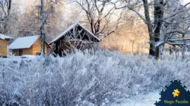 various photos jigsaw puzzle