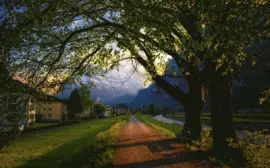 various photos jigsaw puzzle