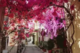 paisaje jigsaw puzzle