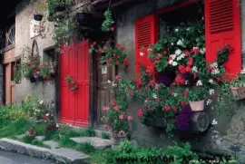 ventana florida jigsaw puzzle