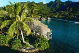 Moorea. Polinesia jigsaw puzzle