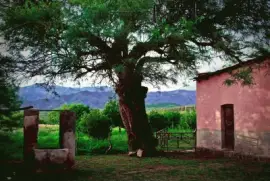 Tomada en Chaquiago. Catamarca. Argentina