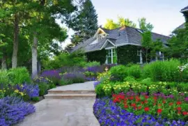 paisaje jigsaw puzzle