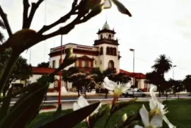 MÃ©danos. Buenos Aires. Argentina