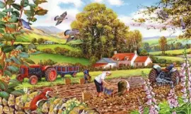 פאזל של roÃ§a