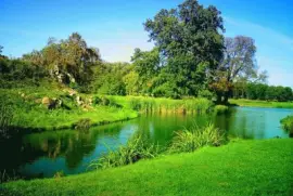 verde que te quiero verde