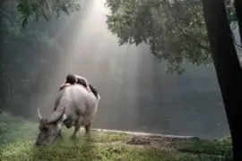 animales jigsaw puzzle