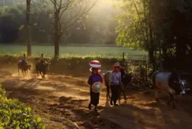 birmania national geographic jigsaw puzzle