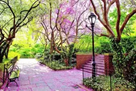 parque jigsaw puzzle