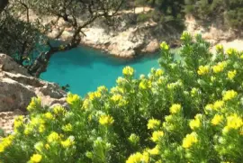 Natura jigsaw puzzle