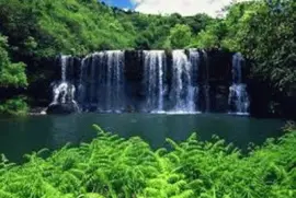 natureza jigsaw puzzle