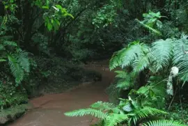 Tomada en Santiago del Estero. Argentina