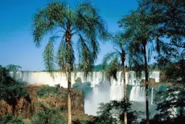 Cataratas del IguazÃº. Misiones. Argentina jigsaw puzzle