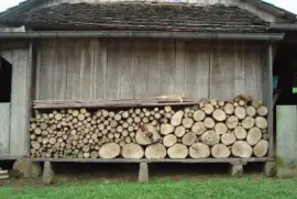 o gato jigsaw puzzle