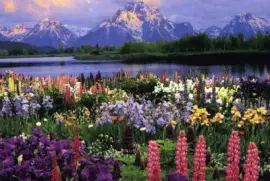 Patagonia-Xile jigsaw puzzle