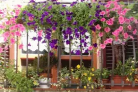 paisaje jigsaw puzzle