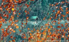 NÂº 549 jigsaw puzzle