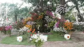 orquÃ­deas jigsaw puzzle