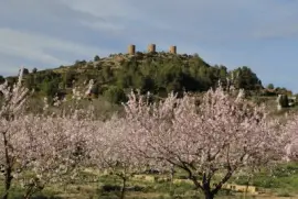 Amandiers jigsaw puzzle