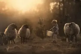 NiÃ±o jigsaw puzzle