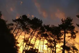 DespuÃ©s de la tormenta jigsaw puzzle