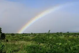 Arco Iris na Zona Rural