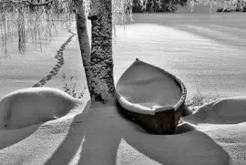 winter-81 jigsaw puzzle