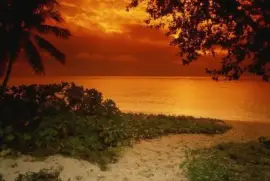 landscape jigsaw puzzle