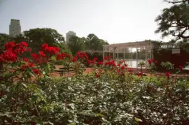 Rosedal. Ciudad de Buenos Aires. Argentina jigsaw puzzle