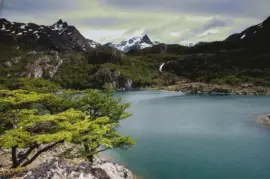 PN Tierra del Fuego. Argentina jigsaw puzzle