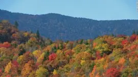 Smoky Mountain fall foliage jigsaw puzzle